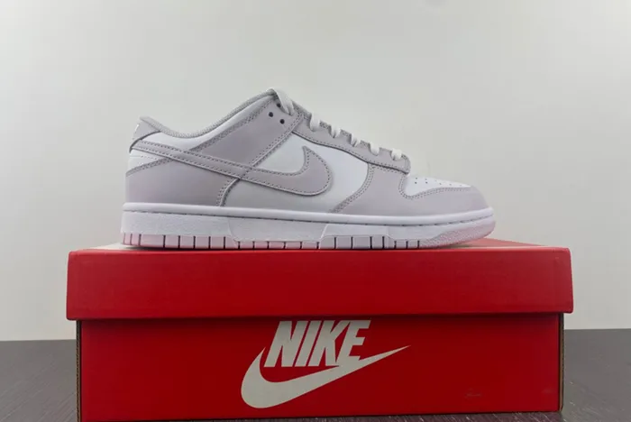 Nike Dunk Low Light Violet DD1503 116