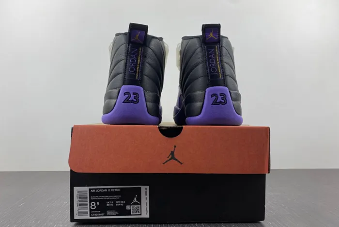 Nike Air Jordan 12 CT8013-057