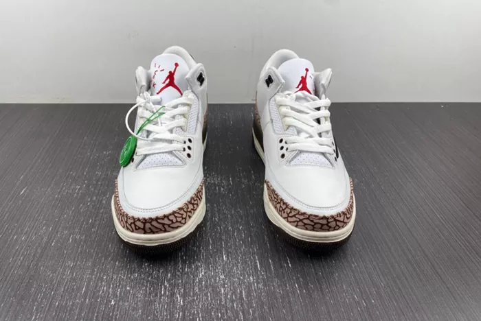 Travis Scott x Air Jordan 3 136064-168