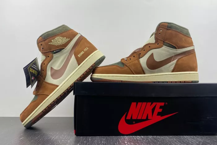 AJ1 Gore-Tex Jordan 1 High DB2889-100
