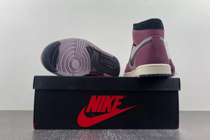 AIR JORDAN 1 HIGH ELEMENT GORE-TEX 